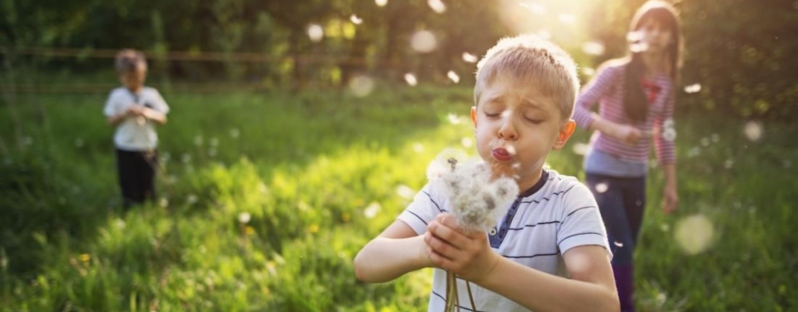 Hay Fever Secrets: Everything They Don’t Want You to Know #HayFever101